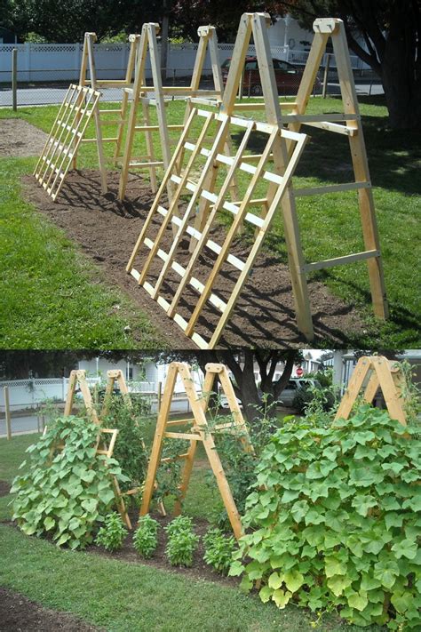 cucumber trellis ideas